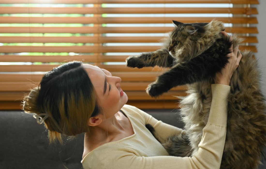 How to keep pets clean